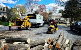 Trusted Waynesburg, PA  Tree Services Experts